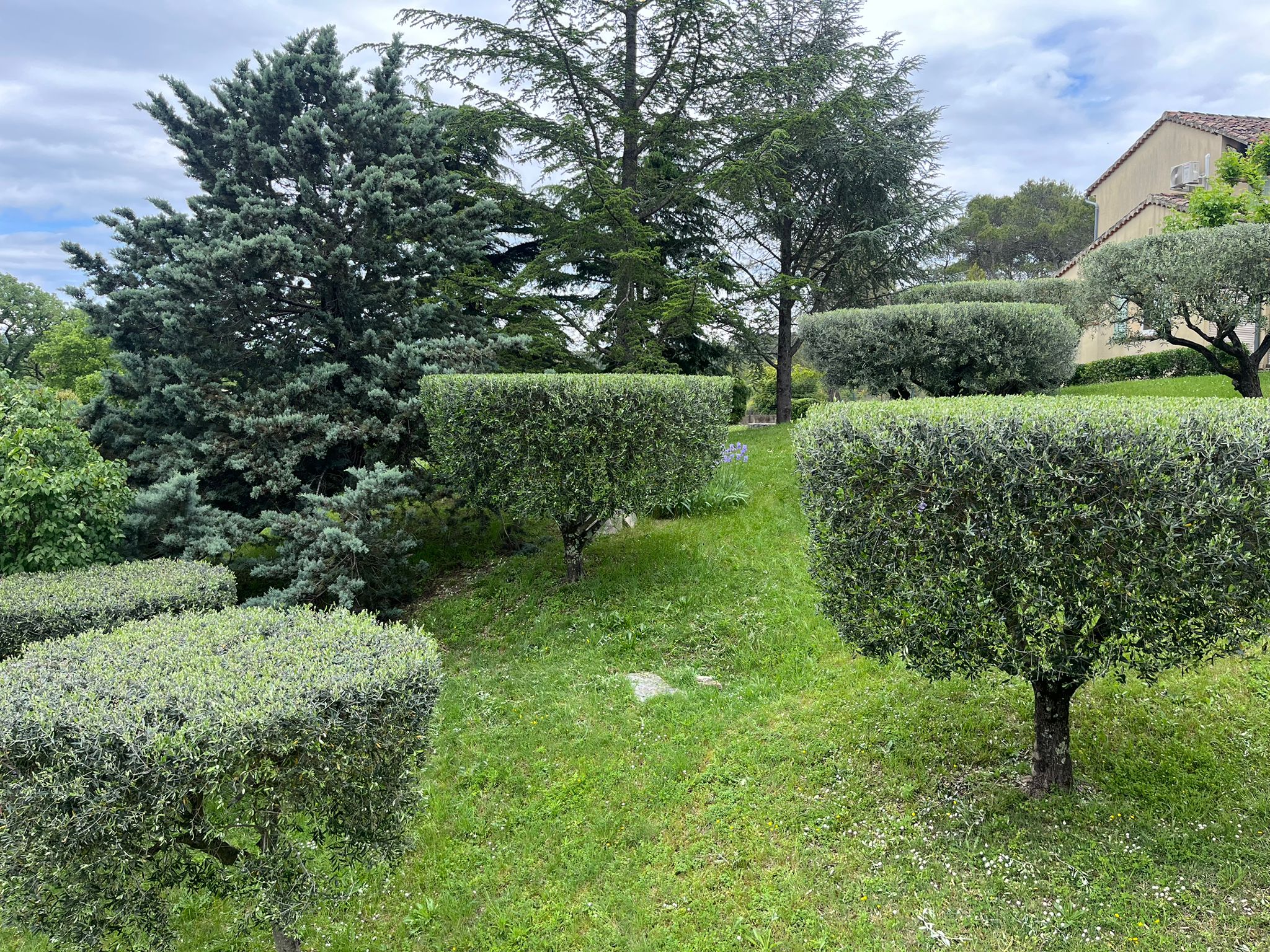 013c493b e866 42cb 9f9c b0e186320b28