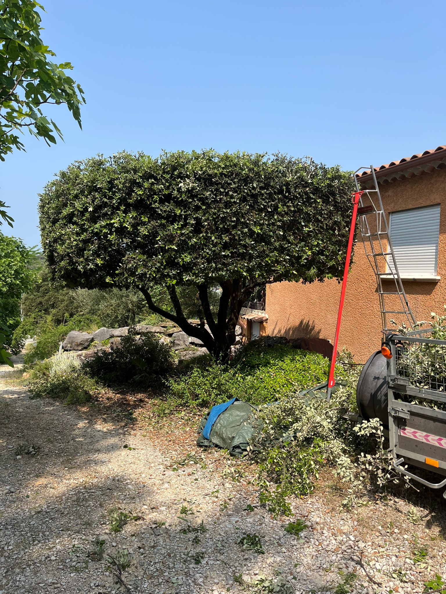 whatsapp image 2025 07 27 at 16.40.10