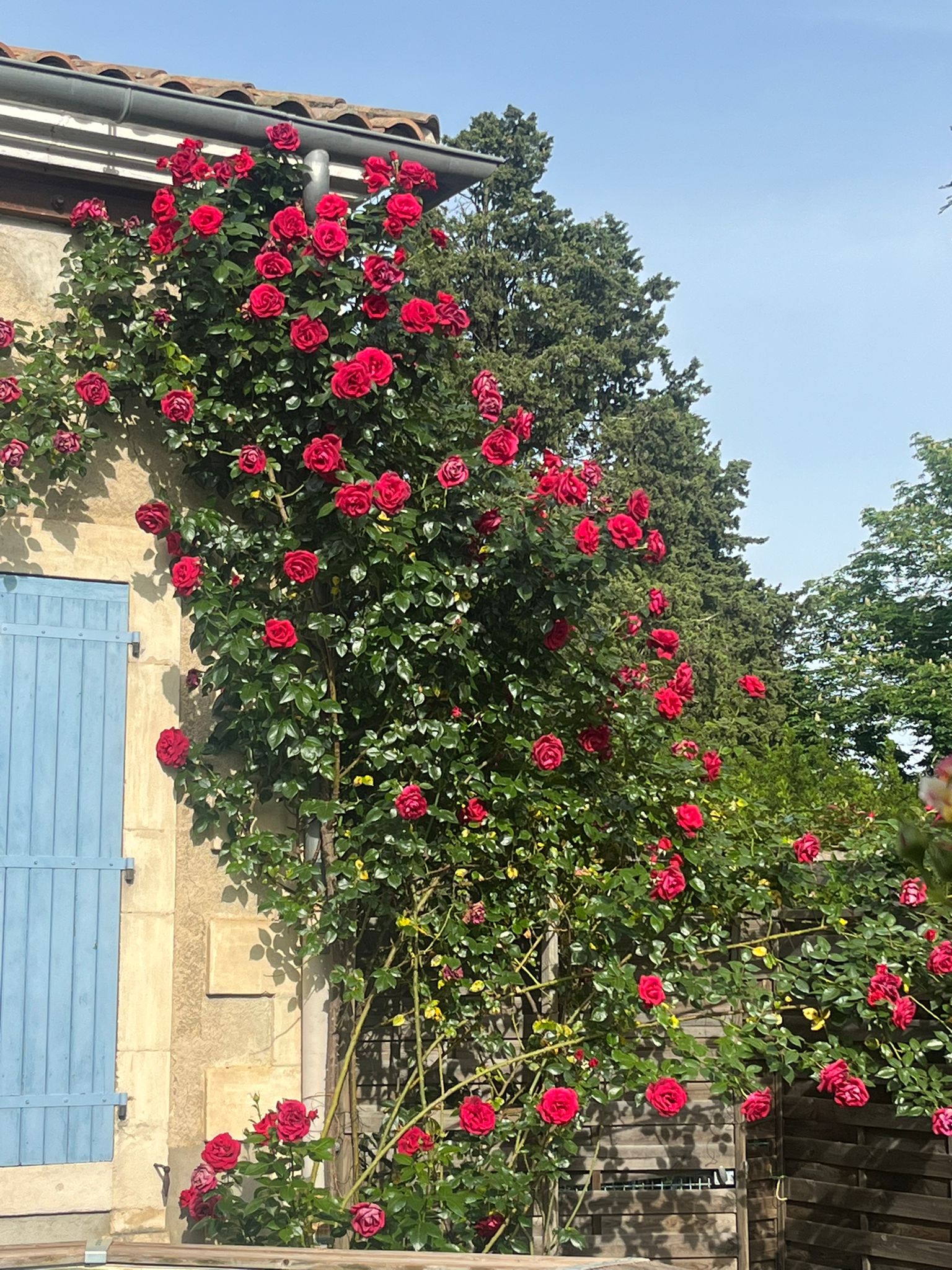 whatsapp image 2025 08 05 at 15.54.05